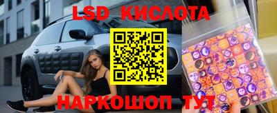 стаф Кулебаки