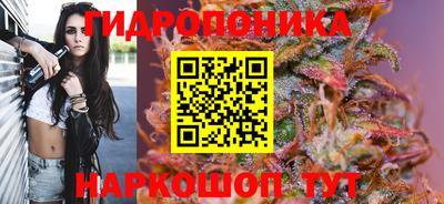 гашик Кумертау