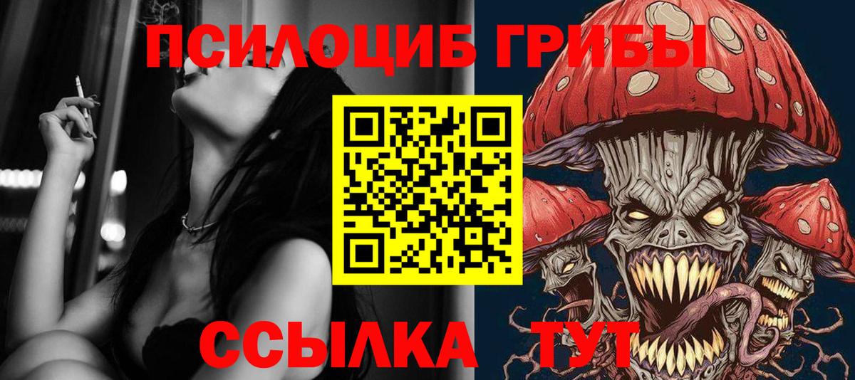 Галлюциногенные грибы GOLDEN TEACHER Каспийск