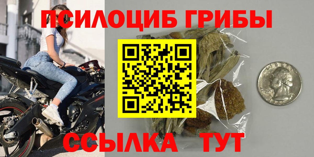 Каспийск  Псилоцибиновые грибы Psilocybine cubensis  Вход с VPN 